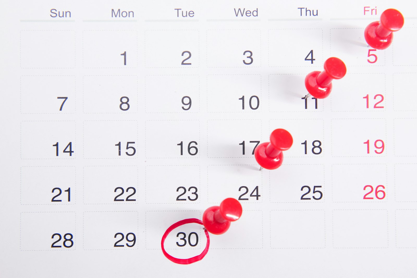 Calendario con citas marcadas